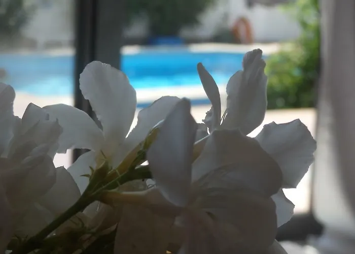 George * Kallithea (Chalkidiki)