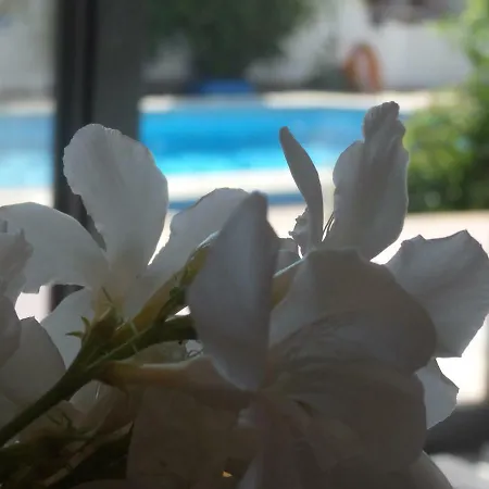 George * Kallithea (Chalkidiki)